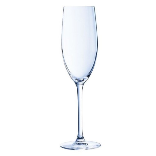 Champagneglas 24cl (per 36)